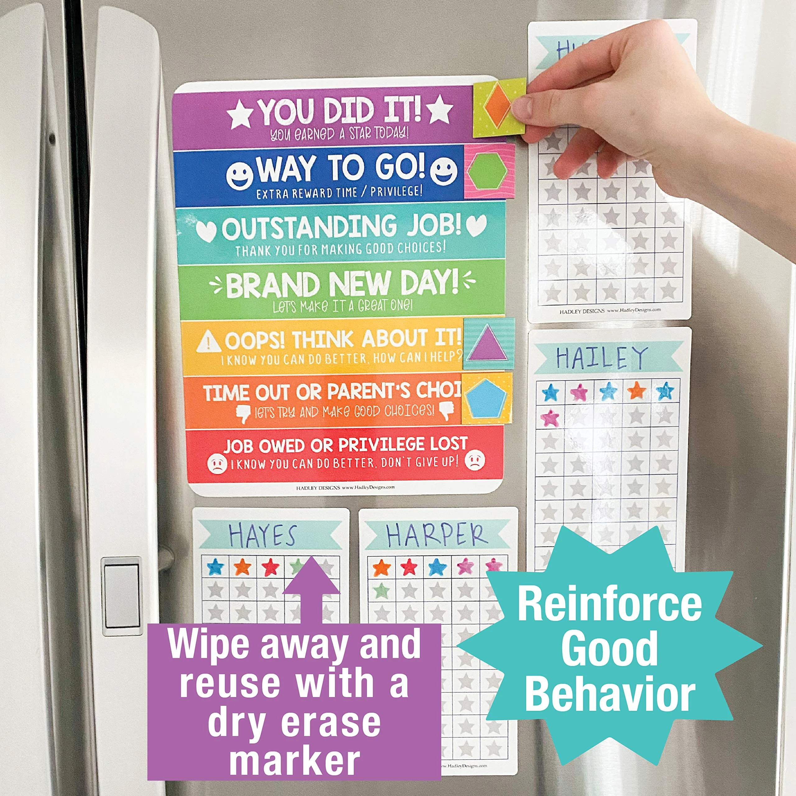Magnetic Behavior Kit - Image 2
