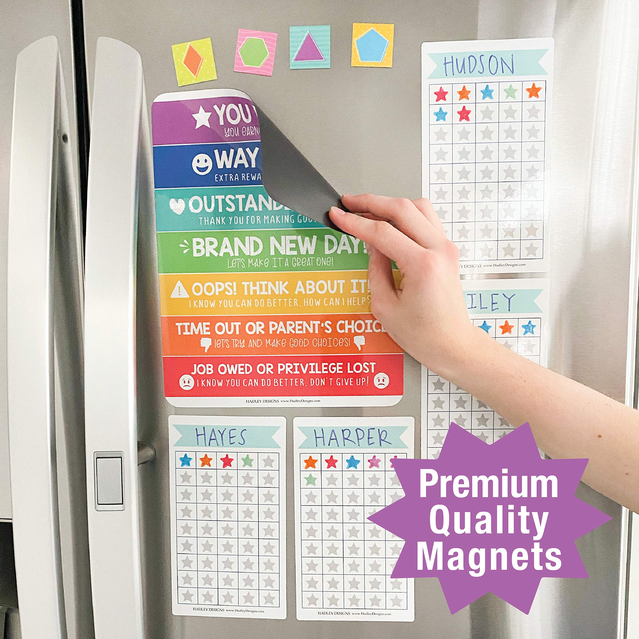 Magnetic Behavior Kit - Image 5