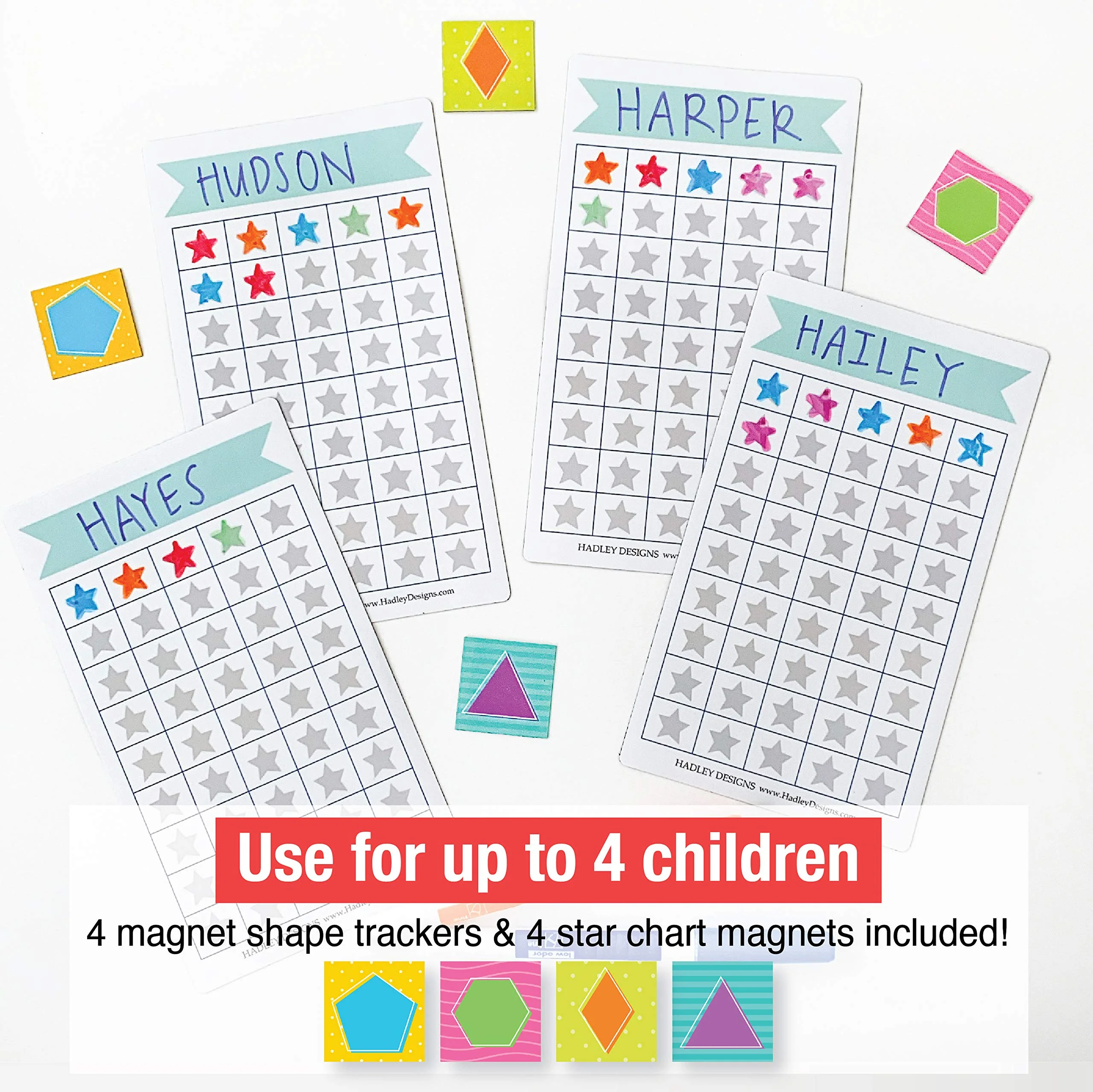 Magnetic Behavior Kit - Image 6